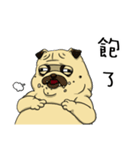 pug A-bang（個別スタンプ：10）