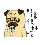 pug A-bang（個別スタンプ：11）