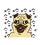 pug A-bang（個別スタンプ：12）