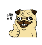 pug A-bang（個別スタンプ：13）