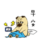 pug A-bang（個別スタンプ：17）