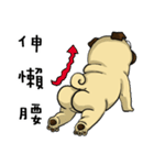 pug A-bang（個別スタンプ：18）