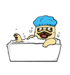 pug A-bang（個別スタンプ：30）