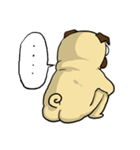 pug A-bang（個別スタンプ：33）