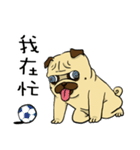 pug A-bang（個別スタンプ：39）