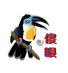 Flying parrot in the sky（個別スタンプ：9）