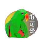 Flying parrot in the sky（個別スタンプ：17）