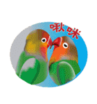 Flying parrot in the sky（個別スタンプ：23）