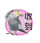 Flying parrot in the sky（個別スタンプ：31）