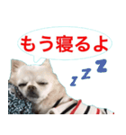 サンキューおっさんとゆかいな仲間達 53（個別スタンプ：32）