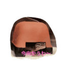 レオパ（個別スタンプ：2）