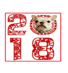 2018 HAPPY CHINA DOG YEAR（個別スタンプ：3）