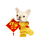 2018 HAPPY CHINA DOG YEAR（個別スタンプ：5）