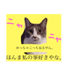 関西弁やん。猫（個別スタンプ：4）