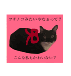 関西弁やん。猫（個別スタンプ：8）