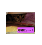 Mi-cat-beru（個別スタンプ：30）