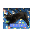 黒猫ソソノ（個別スタンプ：12）