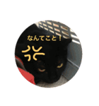 黒猫ソソノ（個別スタンプ：14）