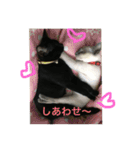 黒猫ソソノ（個別スタンプ：15）