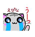 えびな ねこ（個別スタンプ：5）