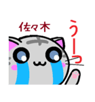 佐々木 ねこ（個別スタンプ：5）