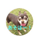 りびー生活。（個別スタンプ：2）