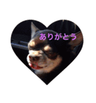りびー生活。（個別スタンプ：3）