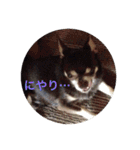 りびー生活。（個別スタンプ：4）