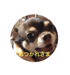 りびー生活。（個別スタンプ：6）