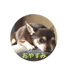 りびー生活。（個別スタンプ：7）