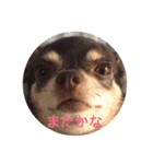 りびー生活。（個別スタンプ：8）