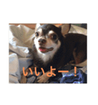 りびー生活。（個別スタンプ：19）