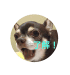 りびー生活。（個別スタンプ：22）