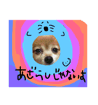 いぬのすたんぷ。（個別スタンプ：8）