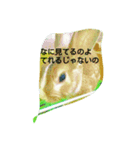 うさぎとうふけい（個別スタンプ：5）