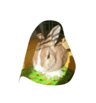 うさぎとうふけい（個別スタンプ：8）