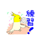 ルーちゃん、二胡練習中（個別スタンプ：24）