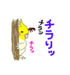 ルーちゃん、二胡練習中（個別スタンプ：33）