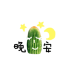 cactus everyday（個別スタンプ：2）