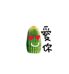 cactus everyday（個別スタンプ：4）