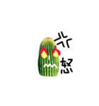 cactus everyday（個別スタンプ：8）