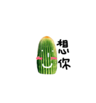 cactus everyday（個別スタンプ：13）