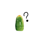 cactus everyday（個別スタンプ：16）