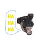 Hope the Dog（個別スタンプ：6）