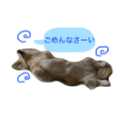 こはなとジャスミン（個別スタンプ：11）