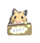 もん もん もんじゃ（個別スタンプ：1）