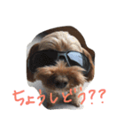 たいがのきもち（個別スタンプ：3）