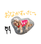 たいがのきもち（個別スタンプ：7）