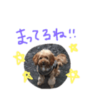 たいがのきもち（個別スタンプ：8）