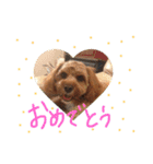 たいがのきもち（個別スタンプ：9）
